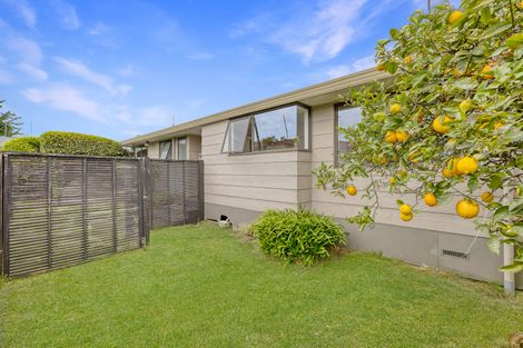 Photo of property in 42a Weld Street, Cambridge, 3434