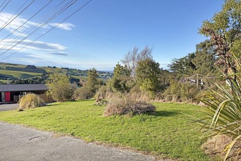 Photo of property in 56a Puketai Street, Andersons Bay, Dunedin, 9013