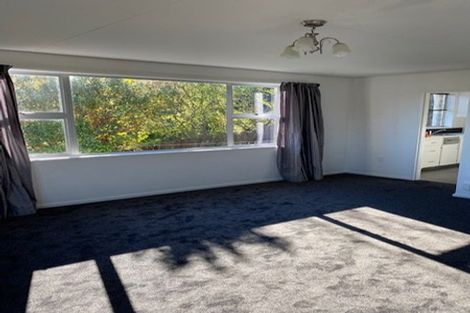 Photo of property in 26a Neidpath Road, Mornington, Dunedin, 9011