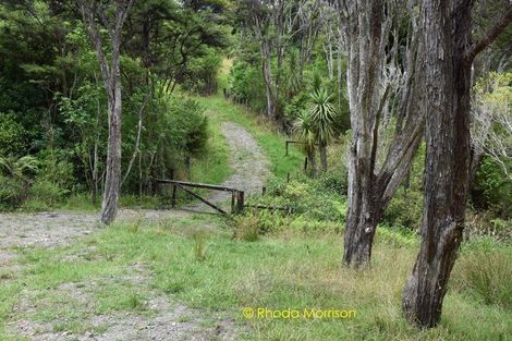 Photo of property in 318 Franklin Road, Paparoa, 0571