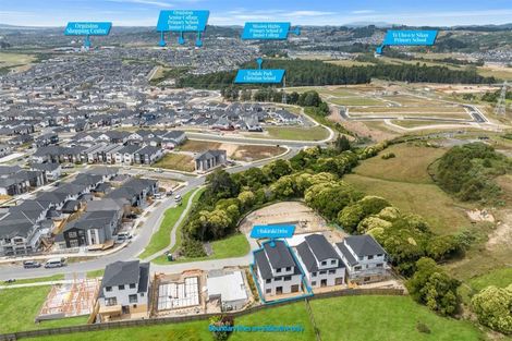 Photo of property in 7 Rakiraki Place, Flat Bush, Auckland, 2019