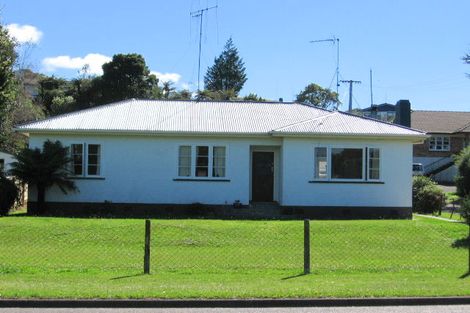 Photo of property in 99 Arapuni Street, Putaruru, 3411
