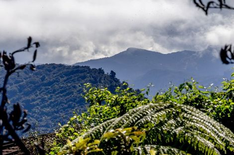 Photo of property in 38 Arnott Heights, Greymouth, 7805