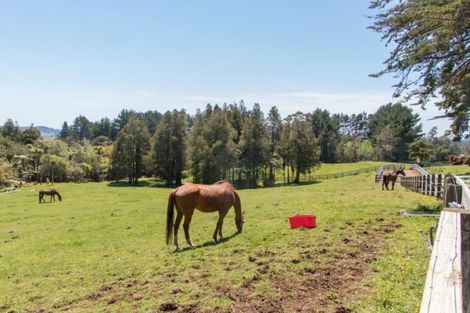 Photo of property in 1001 Scenic Drive North, Swanson, Henderson, 0781