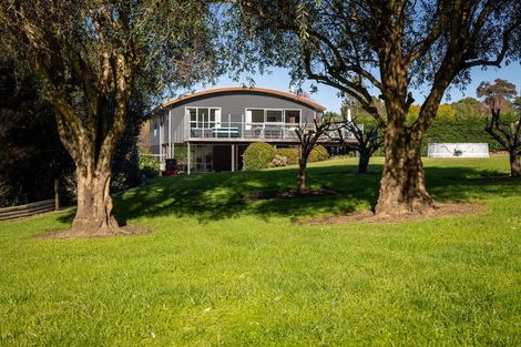 Photo of property in 38 Youngson Road, Whakamarama, Tauranga, 3180