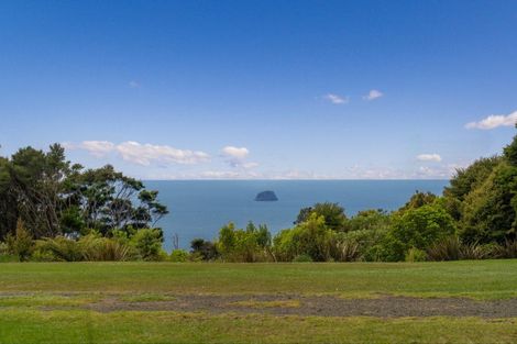 Photo of property in 556 Boat Harbour Road, Whenuakite, Whitianga, 3591