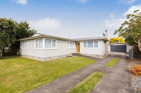 Photo of property in 145 Stanford Street North, Ashhurst, 4810