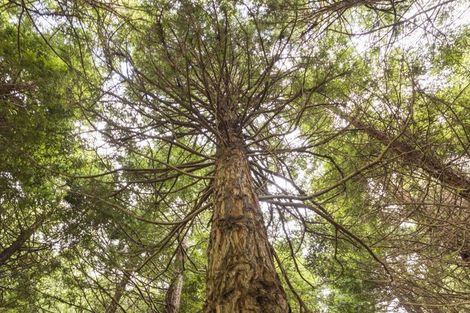 Photo of property in 259 Kahuterawa Road, Linton, Palmerston North, 4472