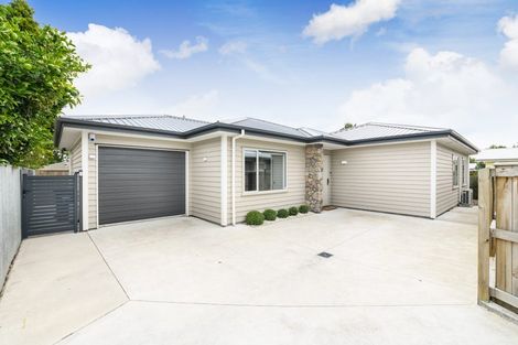 Photo of property in 94a Maxwells Line, Awapuni, Palmerston North, 4412