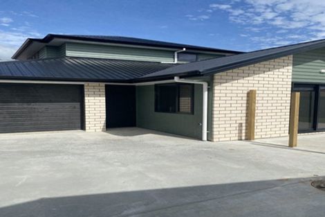 Photo of property in 363 Mutu Street, Te Awamutu, 3800