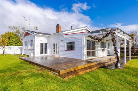 Photo of property in 48 Marchant Street, Putaruru, 3411