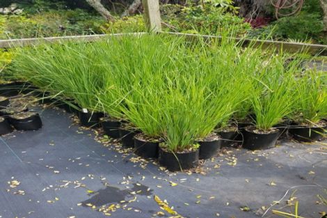 Photo of property in 656 One Tree Point Road, Ruakaka, Whangarei, 0171