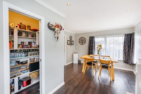 Photo of property in 46 Pembroke Street, Highbury, Palmerston North, 4412