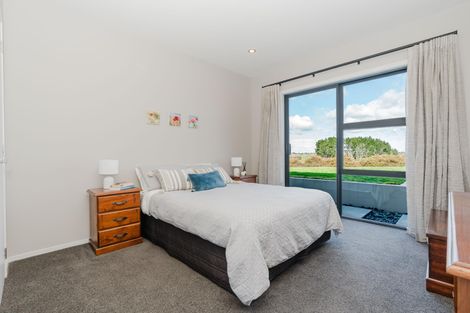 Photo of property in 205 Exelby Road, Burbush, Hamilton, 3288