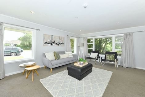 Photo of property in 45 Richards Avenue, Papanui, Christchurch, 8053