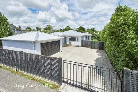 Photo of property in 486 Ruahine Street, Terrace End, Palmerston North, 4410