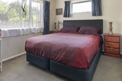 Photo of property in 28 D'arcy Street, Richmond, 7020