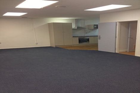 Photo of property in 8b Lipman Street, Mount Victoria, Wellington, 6011