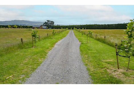 Photo of property in 945 Depot Road, View Hill, Oxford, 7495