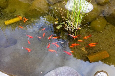 Photo of property in 25 Havenbrook Way, Pyes Pa, Tauranga, 3112