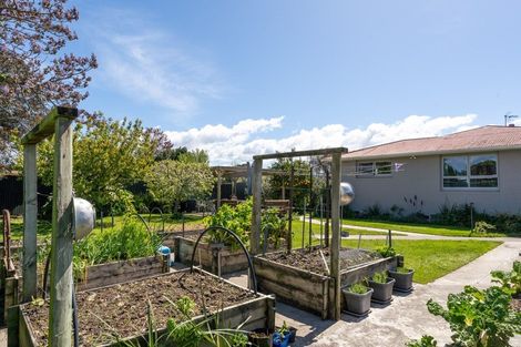 Photo of property in 29 Lucas Street, Riversdale, Blenheim, 7201