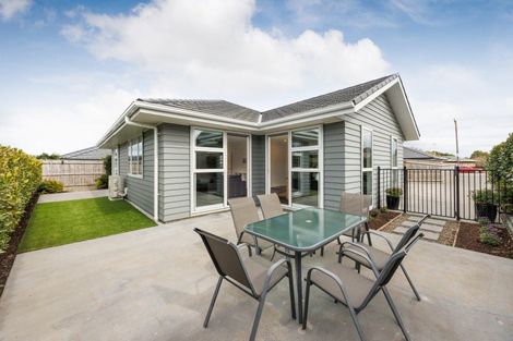 Photo of property in 46 Peppertree Glade, Kelvin Grove, Palmerston North, 4414