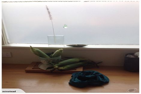 Photo of property in 29 Horne Street, Hamilton Central, Hamilton, 3204