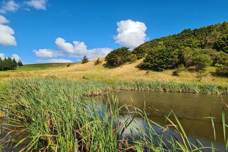 Photo of property in 304 Arapaoa Road, Tinopai, Matakohe, 0593