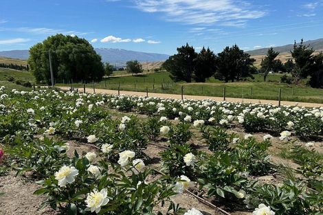 Photo of property in 218 Hawksburn Road, Nevis, Cromwell, 9384