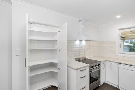 Photo of property in 13 Bowen Street, Levin, 5510