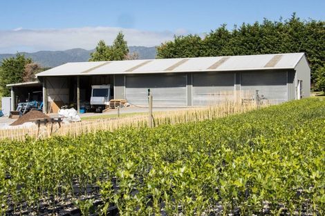 Photo of property in 67 Busby Road, Katikati, 3170