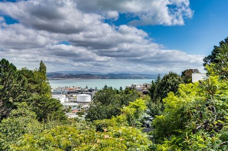 Photo of property in 27 Burns Road, Hospital Hill, Napier, 4110