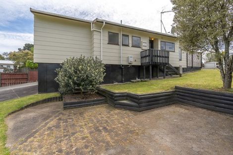 Photo of property in 13 Riley Place, Fitzroy, Hamilton, 3206