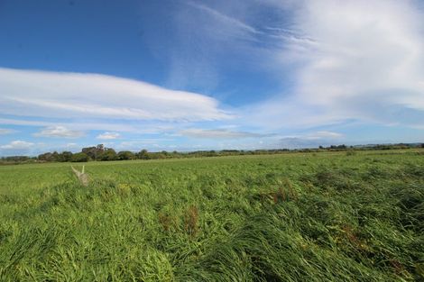 Photo of property in 20 Feng Lane, Woodville, 4999