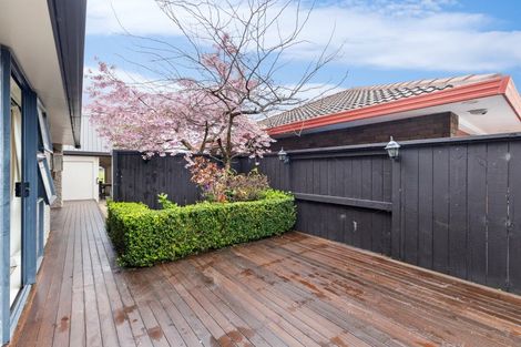 Photo of property in 113 John F Kennedy Drive, Milson, Palmerston North, 4414