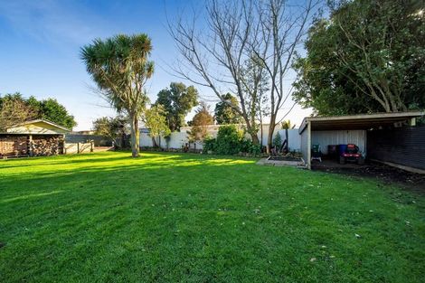 Photo of property in 59 Patu-kukupa Street, Manaia, 4612
