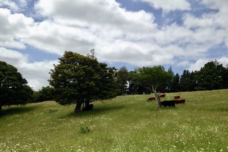 Photo of property in 559 Mount Tiger Road, Whareora, Onerahi, 0192