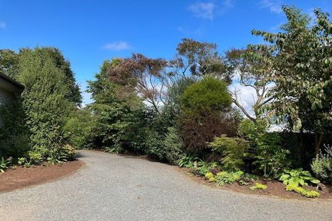 Photo of property in 219 Kane Street, Pirongia, 3802