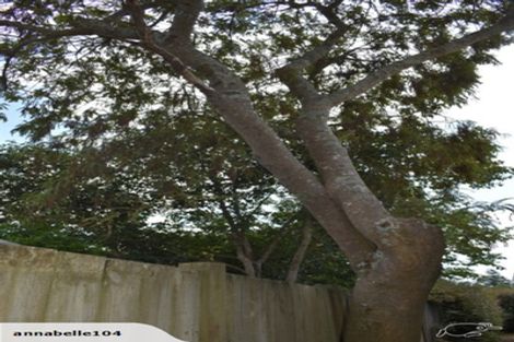 Photo of property in 14 Thompson Street, Leamington, Cambridge, 3432