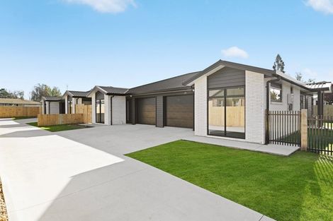 Photo of property in 17 Fend Street, Chartwell, Hamilton, 3210