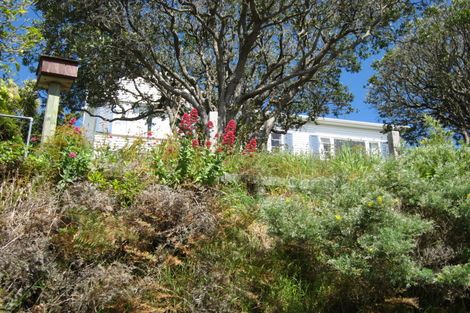 Photo of property in 17 Clutha Avenue, Khandallah, Wellington, 6035