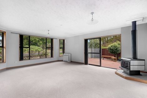 Photo of property in 17 Woodland Avenue, Mosgiel, 9024