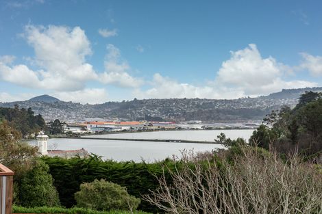 Photo of property in 14 Heath Street, Andersons Bay, Dunedin, 9013