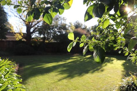 Photo of property in 53 Bush Street, Rangiora, 7400