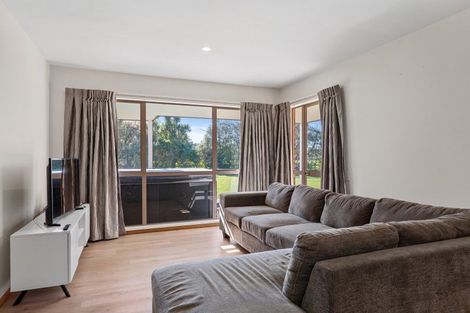 Photo of property in 554 Boundary Creek Road, Dunsandel, Leeston, 7682