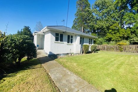 Photo of property in 41 Hillcrest Street, Solway, Masterton, 5810