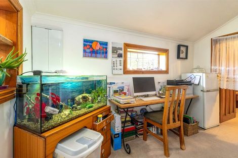 Photo of property in Albury Store, 1556 Albury Fairlie Road, Albury, Cave, 7984