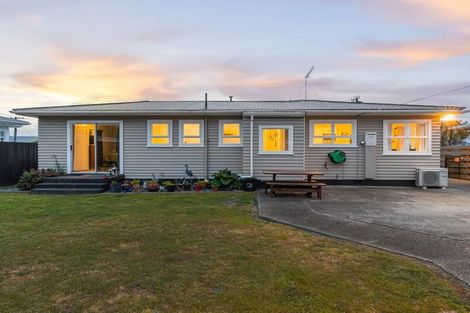 Photo of property in 24 Ferguson Street, Levin, 5510