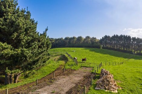 Photo of property in 238 Ohangai Road, Hawera, 4673
