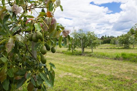 Photo of property in 547 Nelson Road, Lytton West, Gisborne, 4071